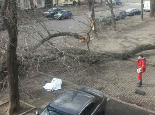 Непогода в Одесской области: погиб один человек, обесточены 145 населенных пунктов