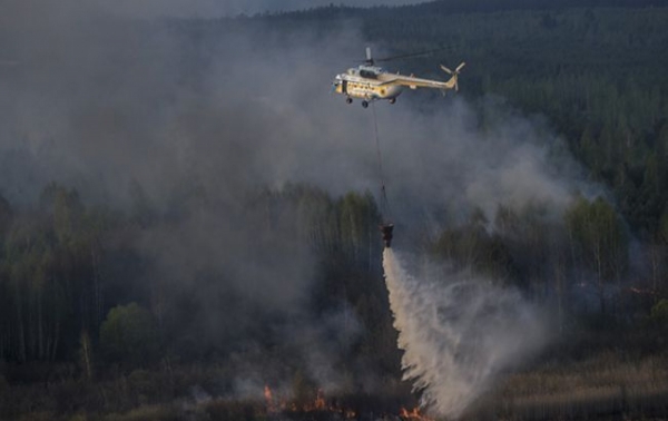 Масштабный лесной пожар в зоне ЧАЭС еще ликвидируют