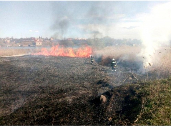 В Одесской области загорелся национальный природный парк