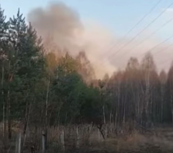 Ради забавы: полиция нашла поджигателя травы, устроившего пожар в Чернобыльской зоне