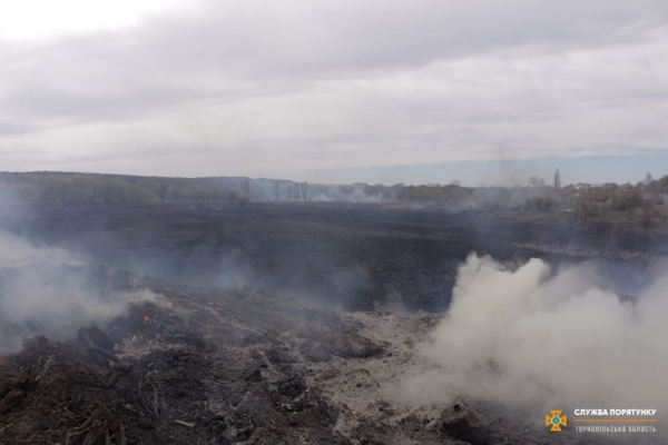 В Тернополе вдоль реки вспыхнул пожар, огонь вплотную подобрался к домам