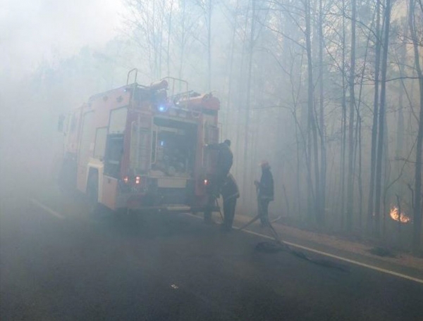 Чернобыльская зона продолжает гореть. Пожарные тушат четыре очага лесного пожара, — ГосЧС