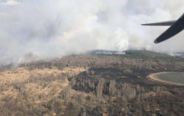 В Житомирской области третий день не могут потушить горящий лес