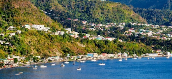 Доминика и Сент-Китс и Невис принимают заявки на гражданство онлайн
