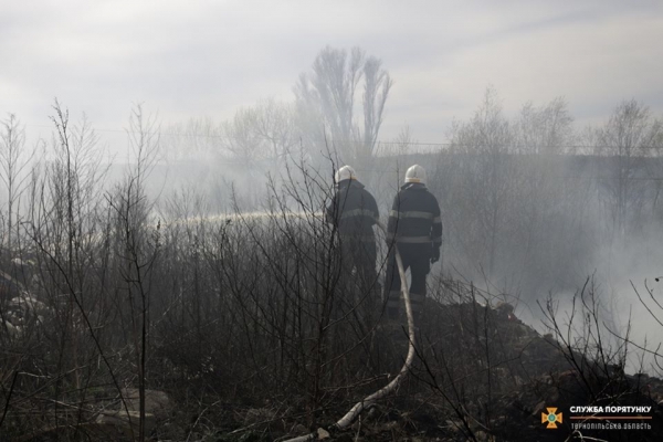 В Тернополе вдоль реки вспыхнул пожар, огонь вплотную подобрался к домам